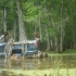Beasts of the Southern Wild