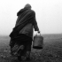 Turin Horse, The