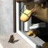 Black Birdy