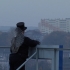 Bydgoszcz From Dawn Till Dusk