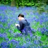 Bright Star