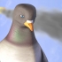Pigeon: Impossible