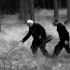 Forest, The